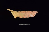 藏品(陶片)的圖片